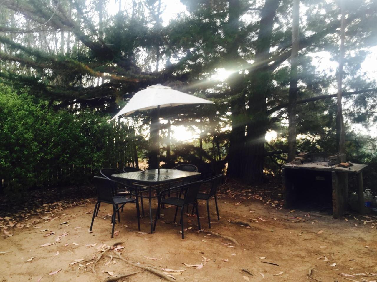 Cabanas La Magia De Isla Negra Exteriör bild